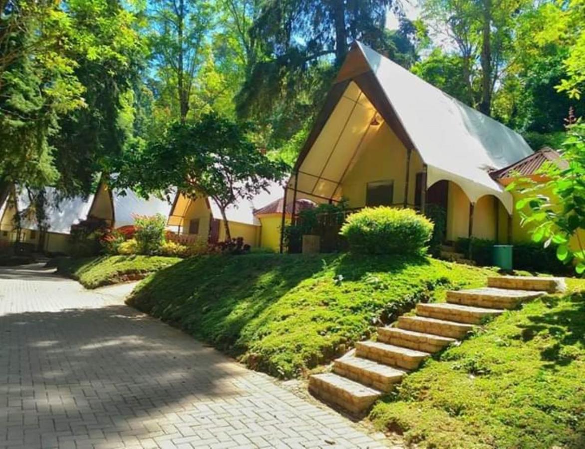 Lawu Forest Camp Sarangan Exterior foto