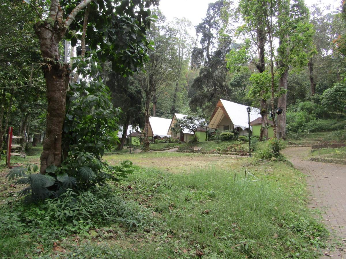 Lawu Forest Camp Sarangan Exterior foto