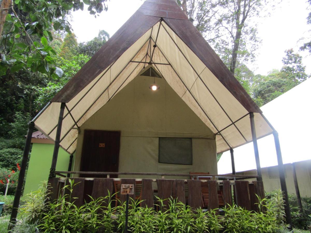 Lawu Forest Camp Sarangan Exterior foto