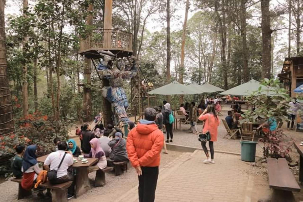 Lawu Forest Camp Sarangan Exterior foto